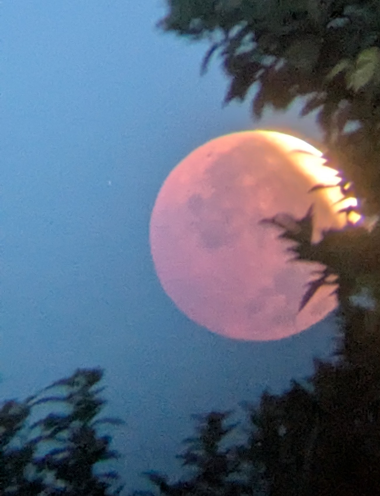 Eclipse lune 2026 2