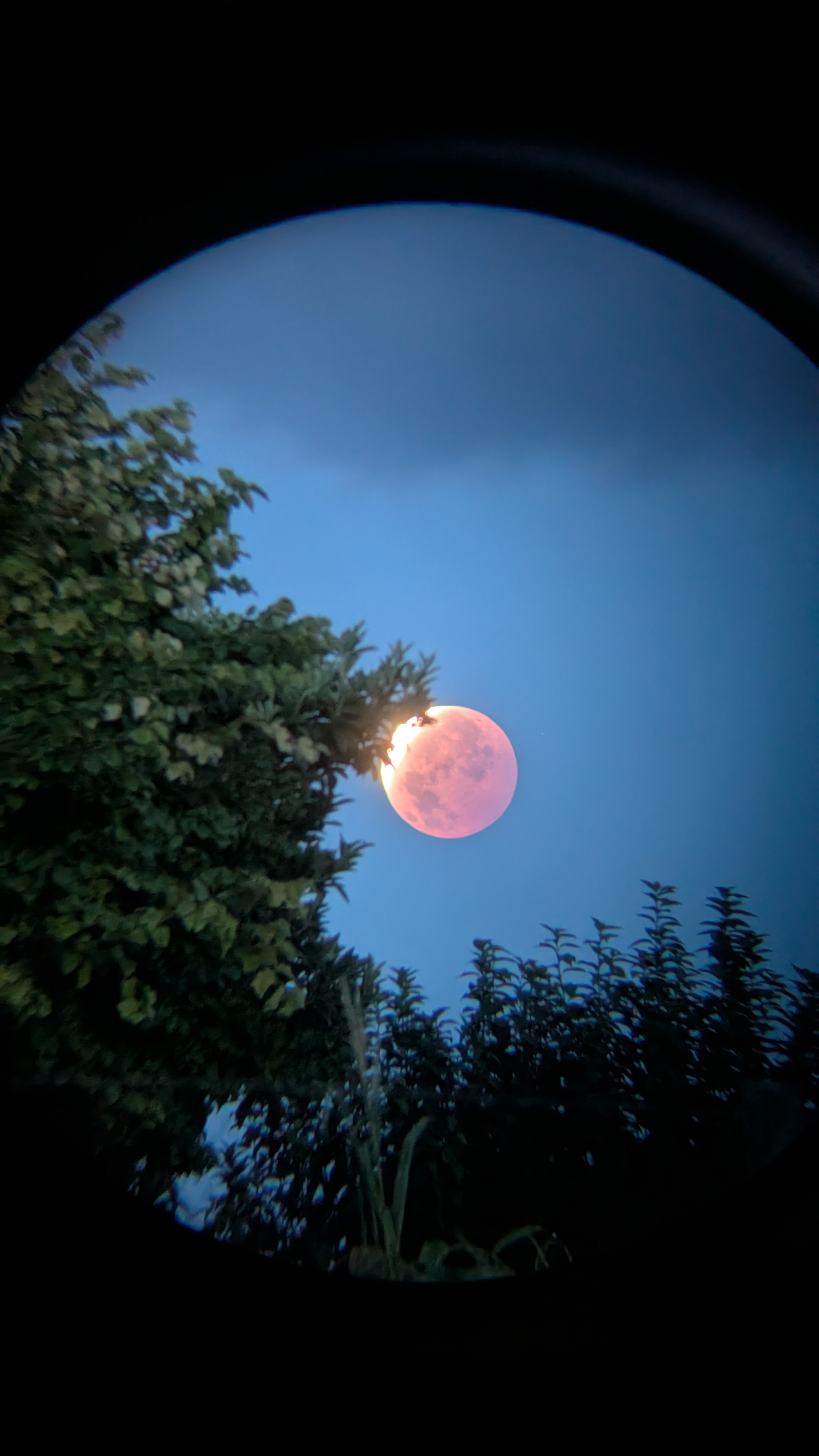 Eclipse lune 2026