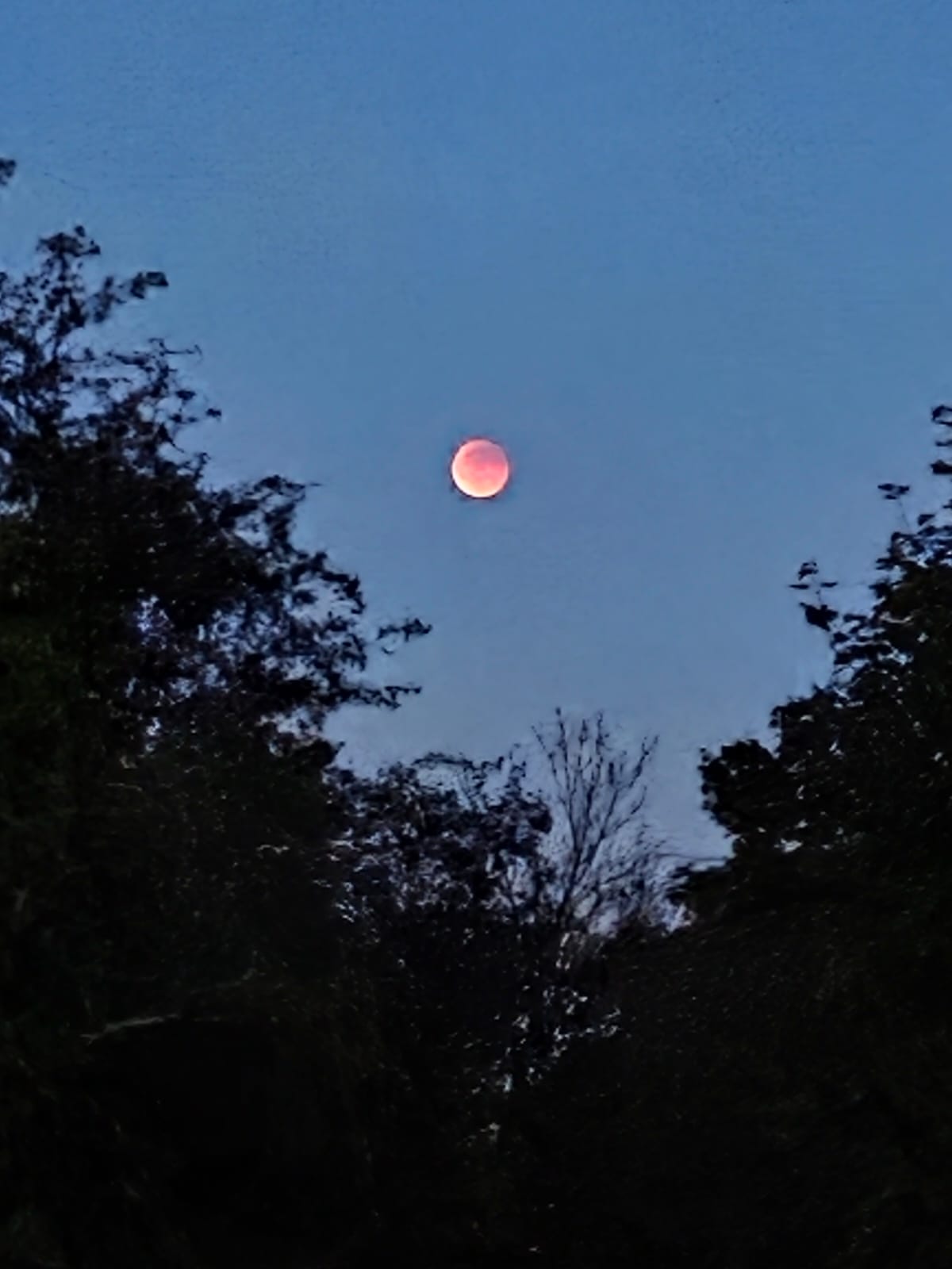 Eclipse lune 2025