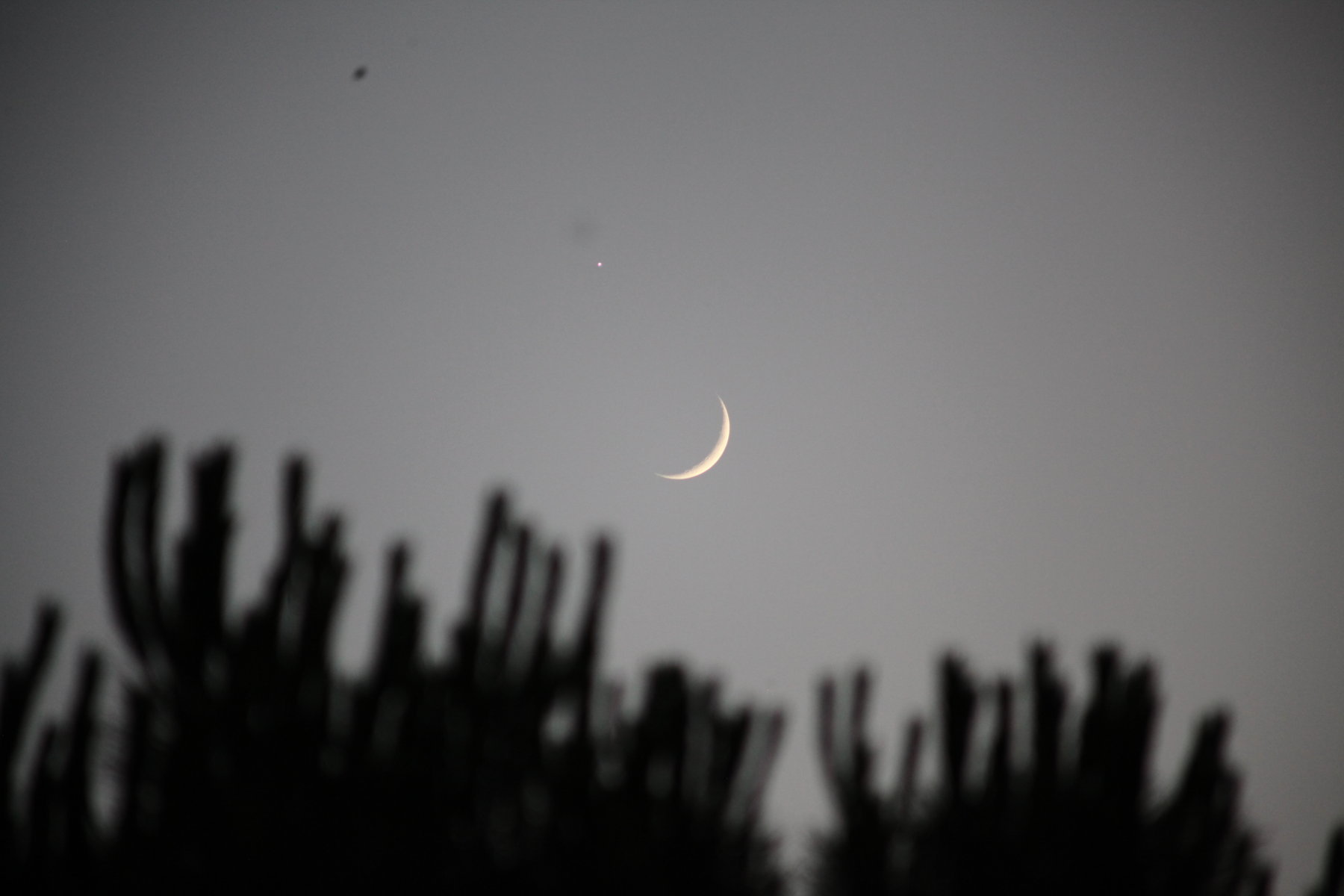 Croissant de lune