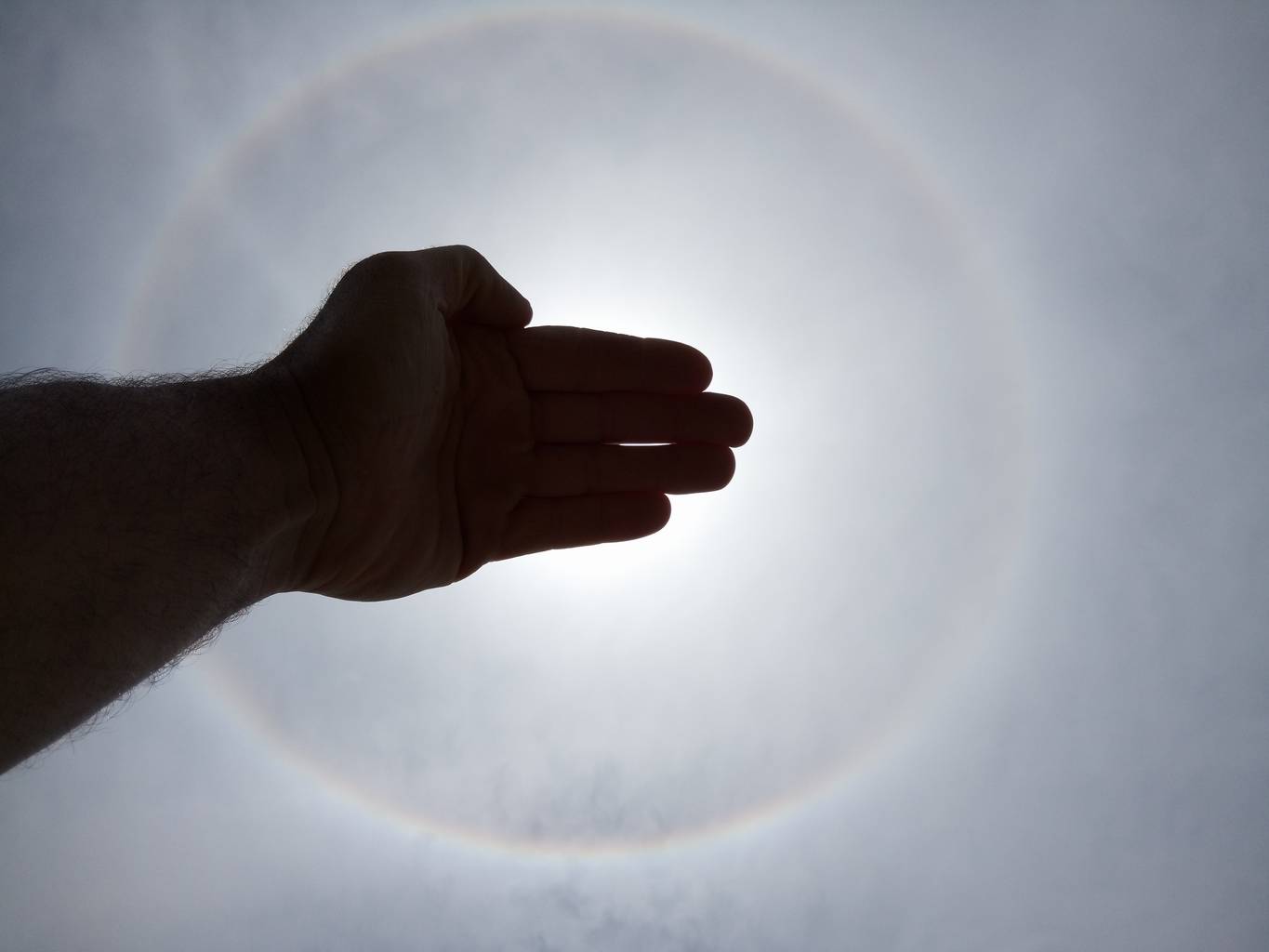 Halo de soleil