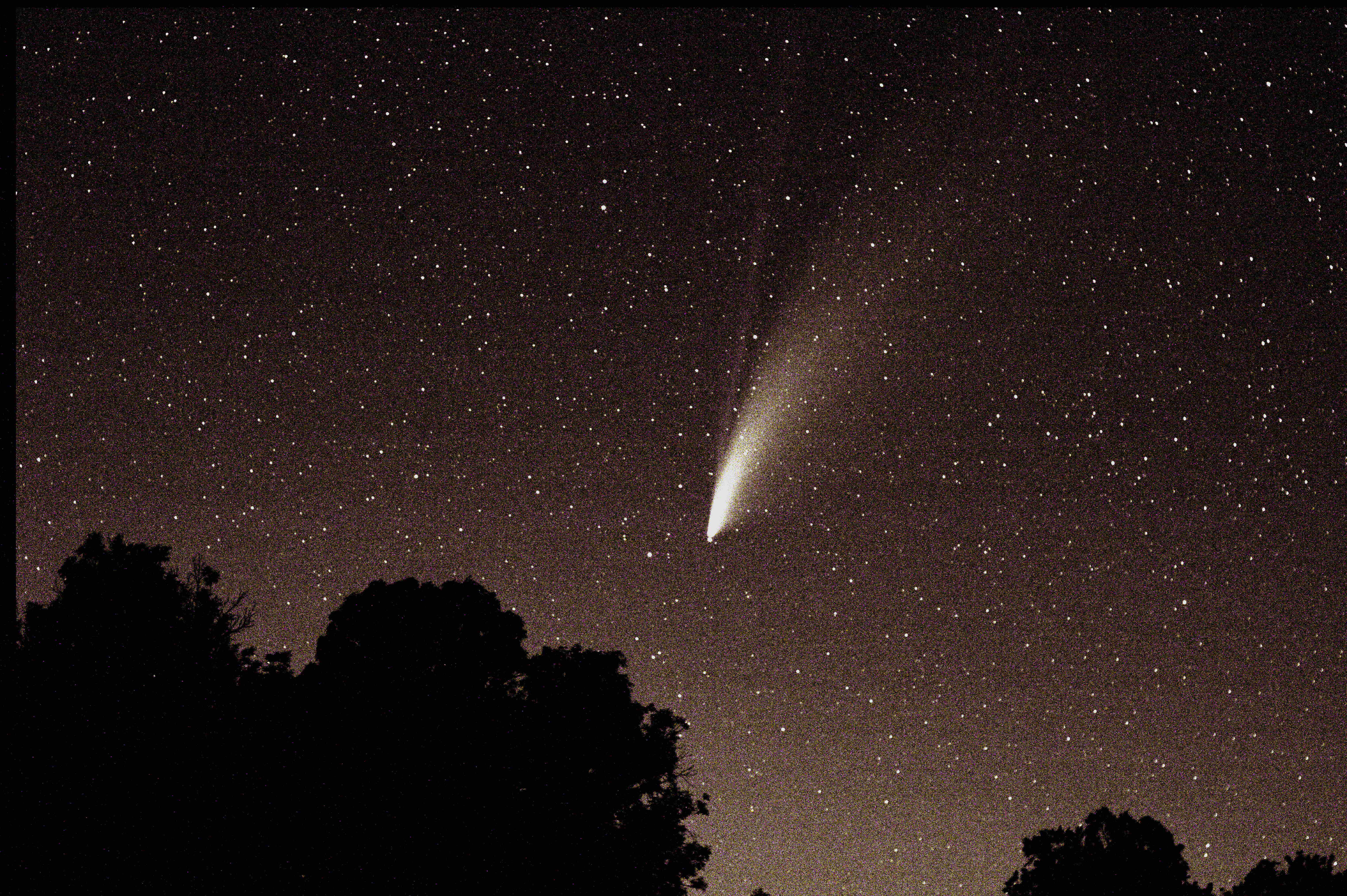Neowise 2020 2