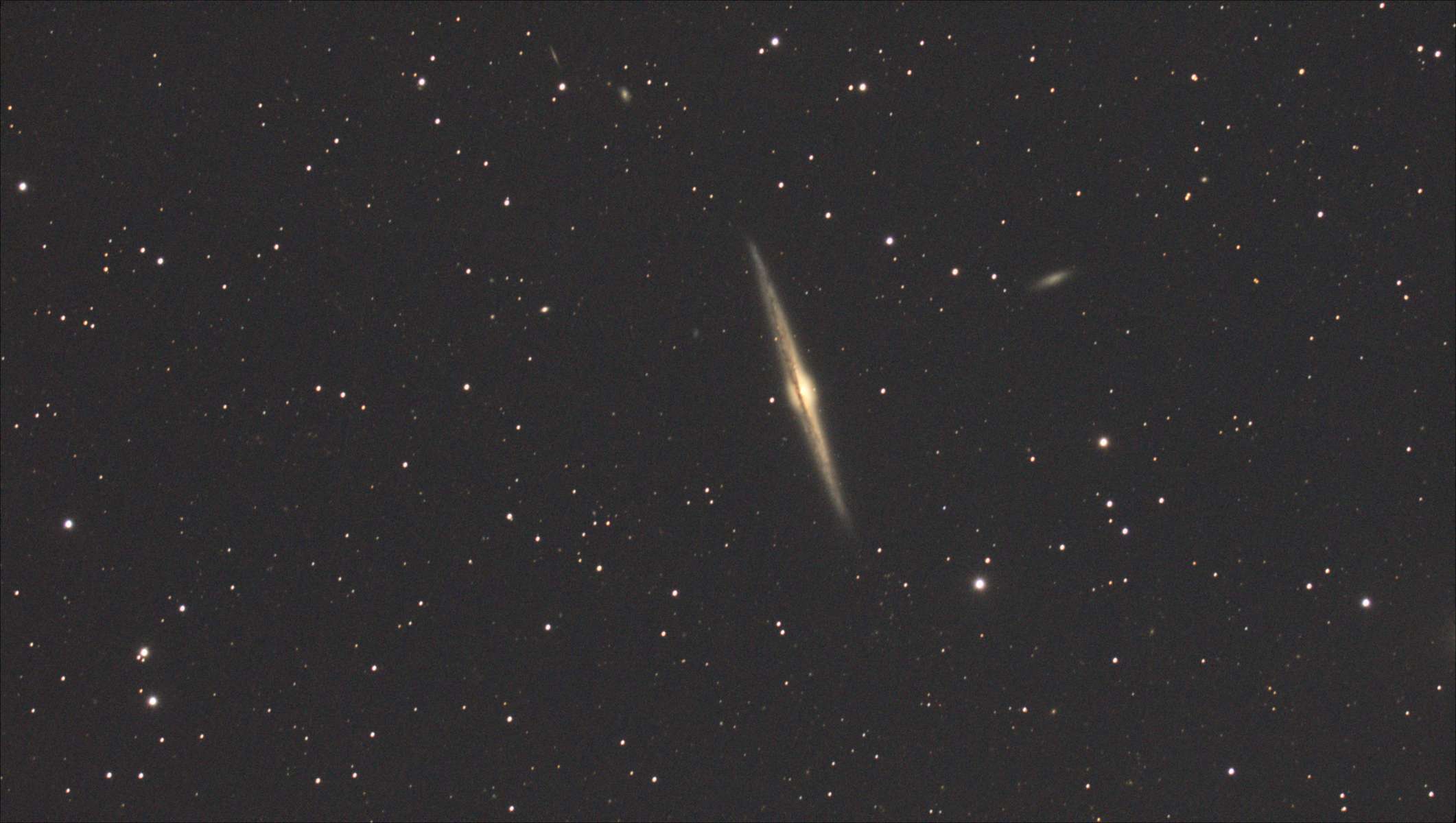 NGC4565