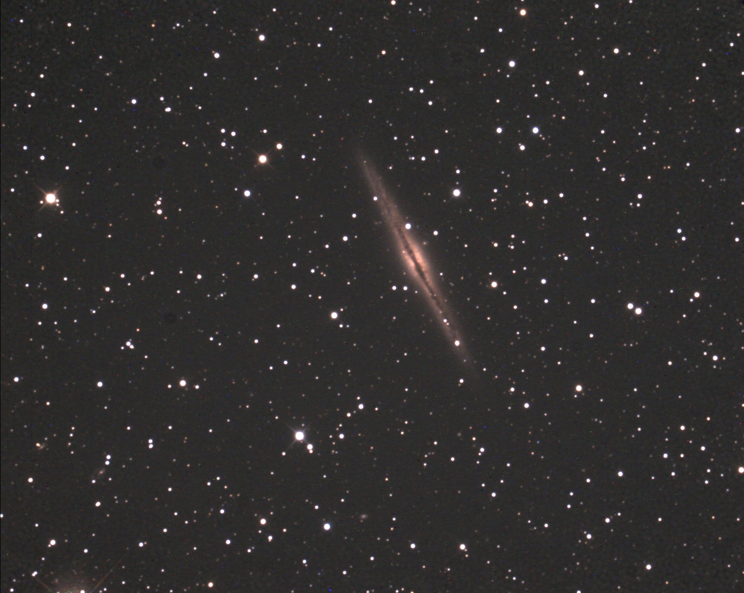 NGC891