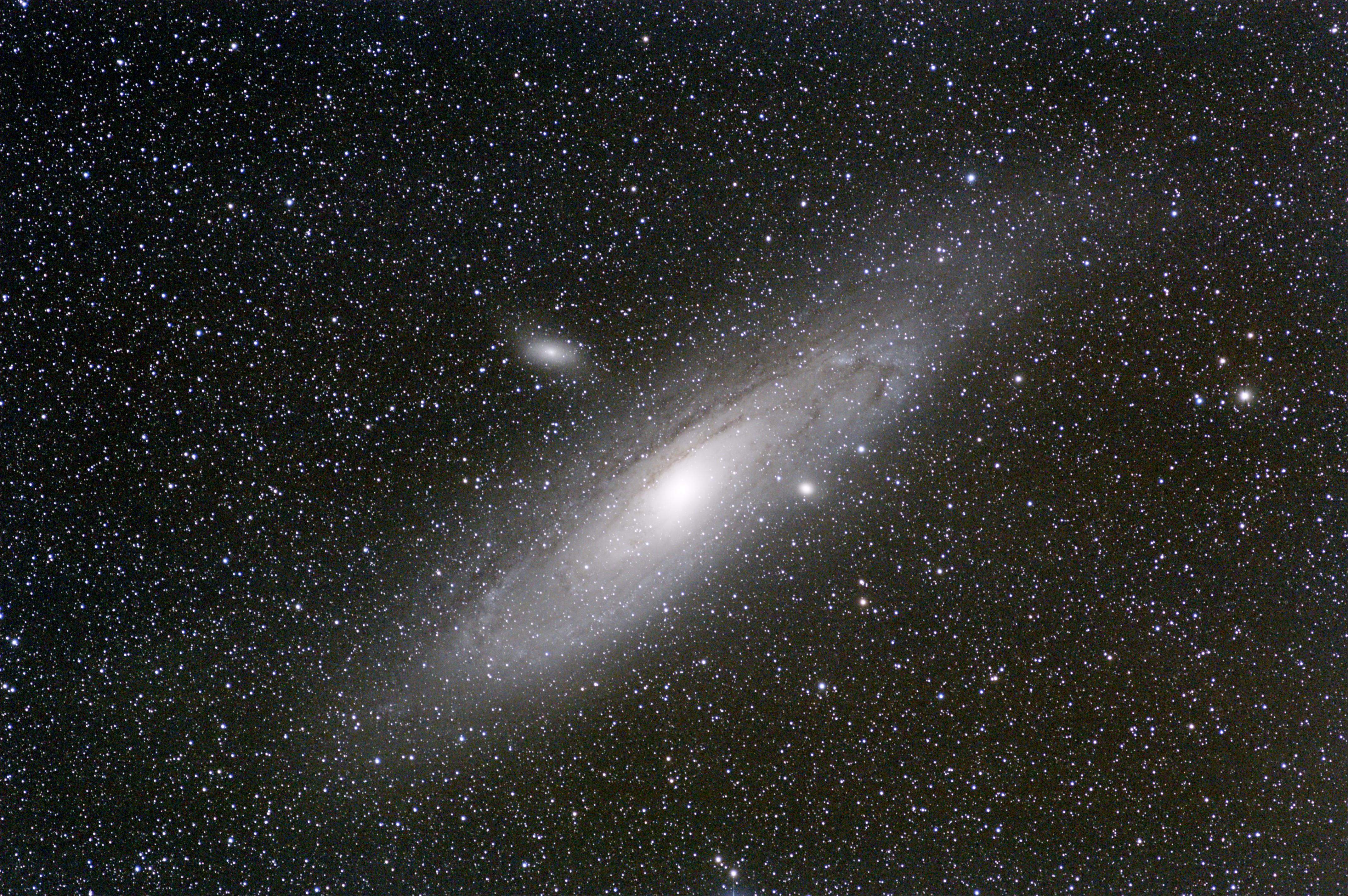 M31