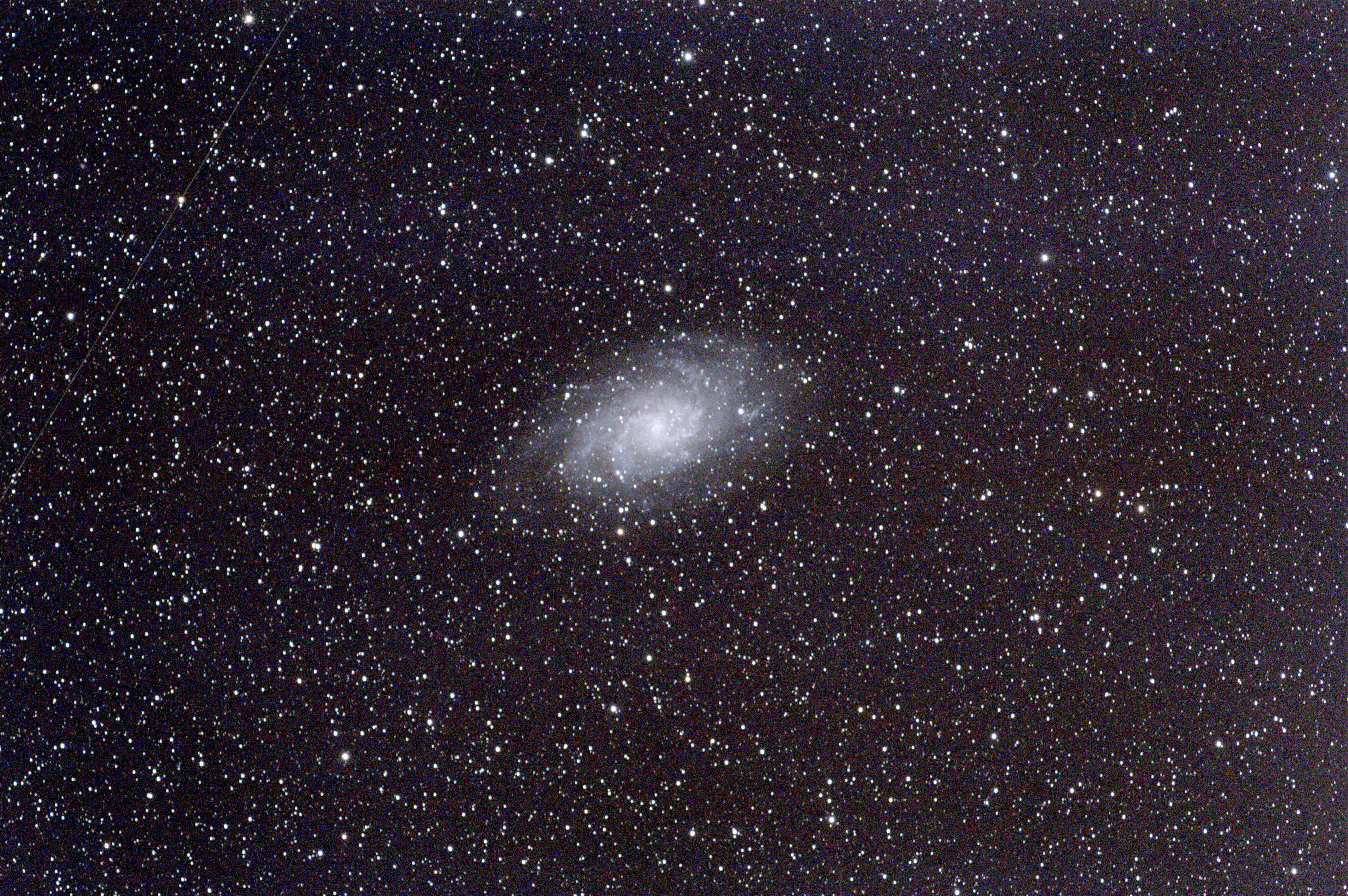 M33